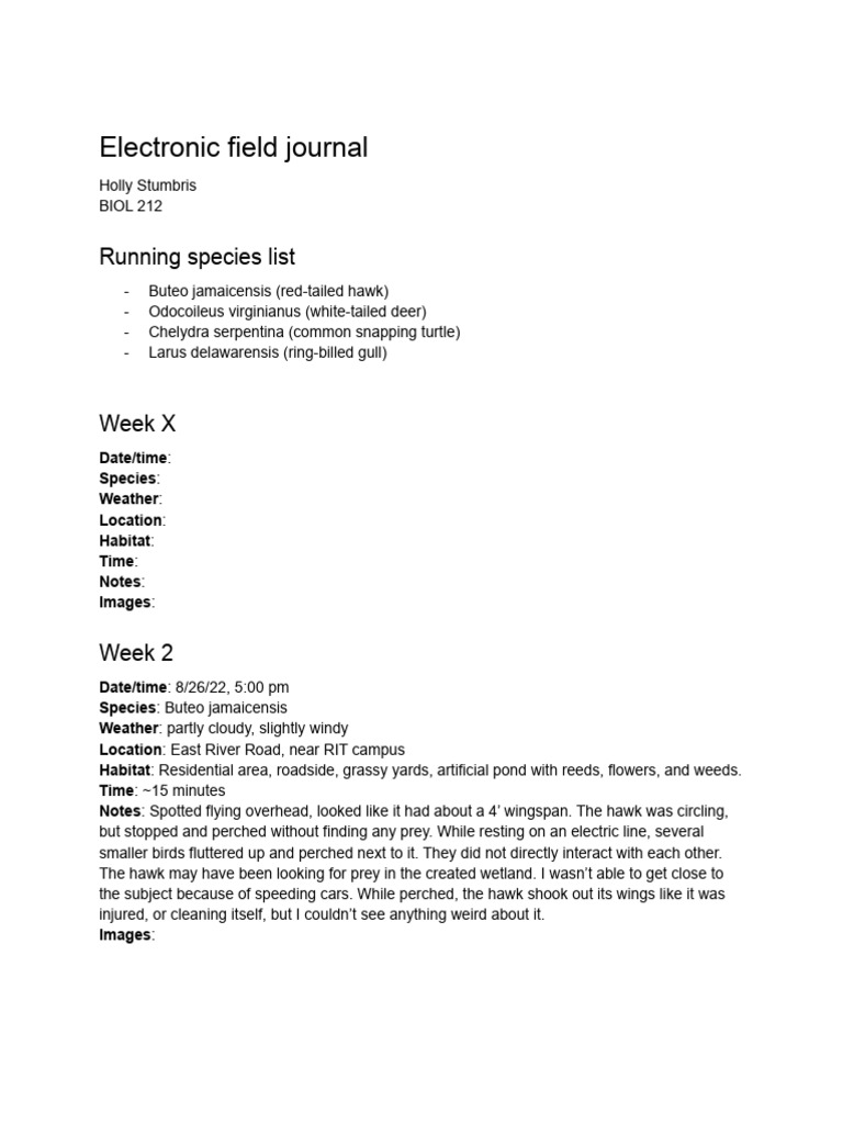 Wildlife Observation Field Journal | PDF | Hawk | Holarctic Birds
