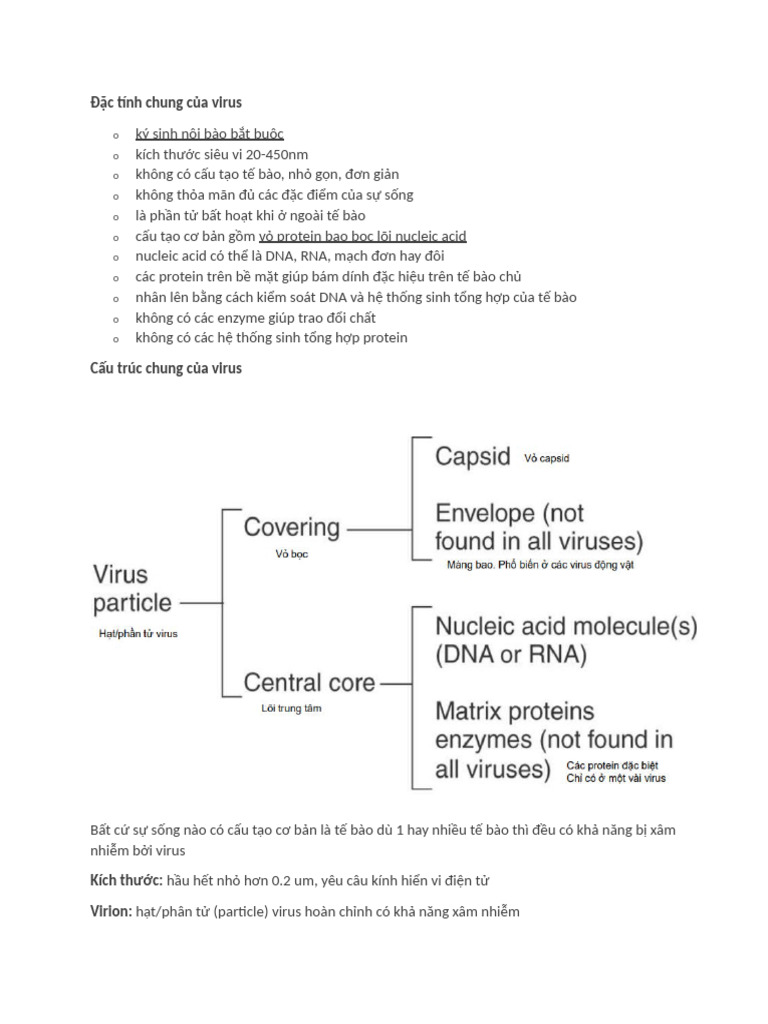 Virus | PDF