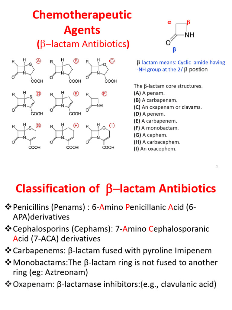 β-Lactam Antibiotics Overview | PDF | Penicillin | Beta Lactamase