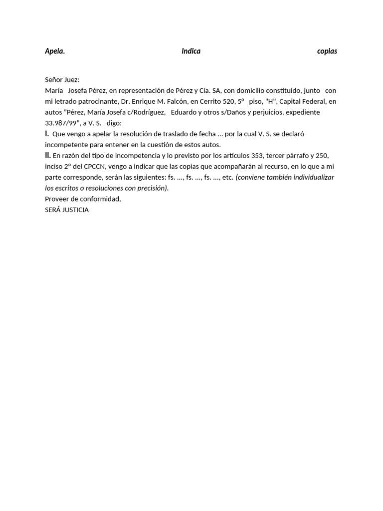 Modelo Apela Indica Copias | PDF