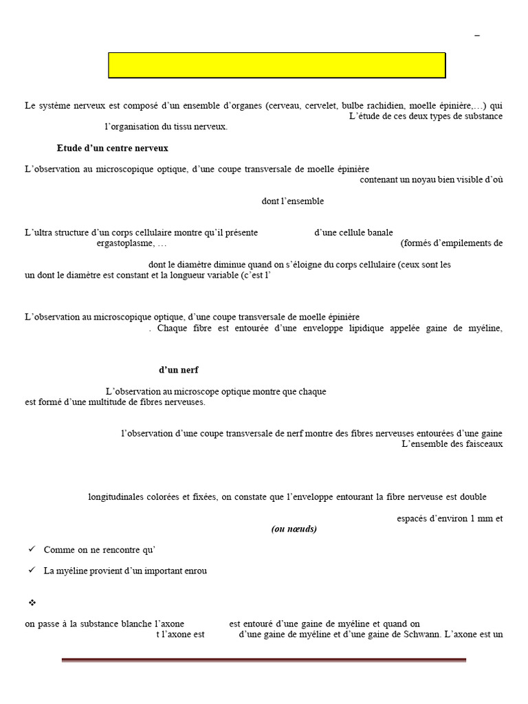 Structure du Tissu Nerveux au Microscope | PDF | Nerf | Axone