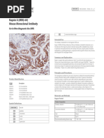 Ventana IHC Staining Protocol Guide | PDF