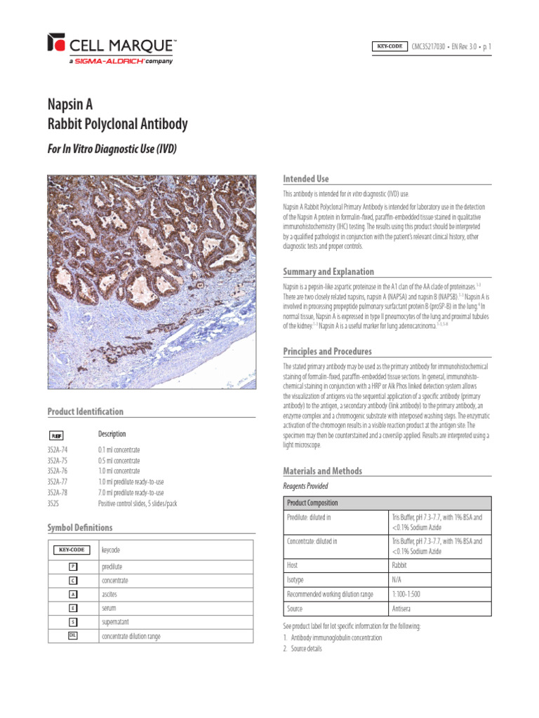 Napsin A (Polyclonal) - CM - MAN - EN - IVD - 2.1 | PDF ...