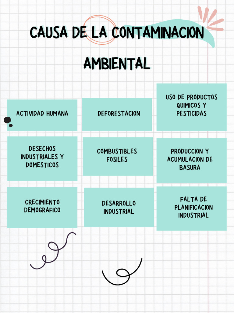 Causas de La Contaminacion Ambiental | PDF