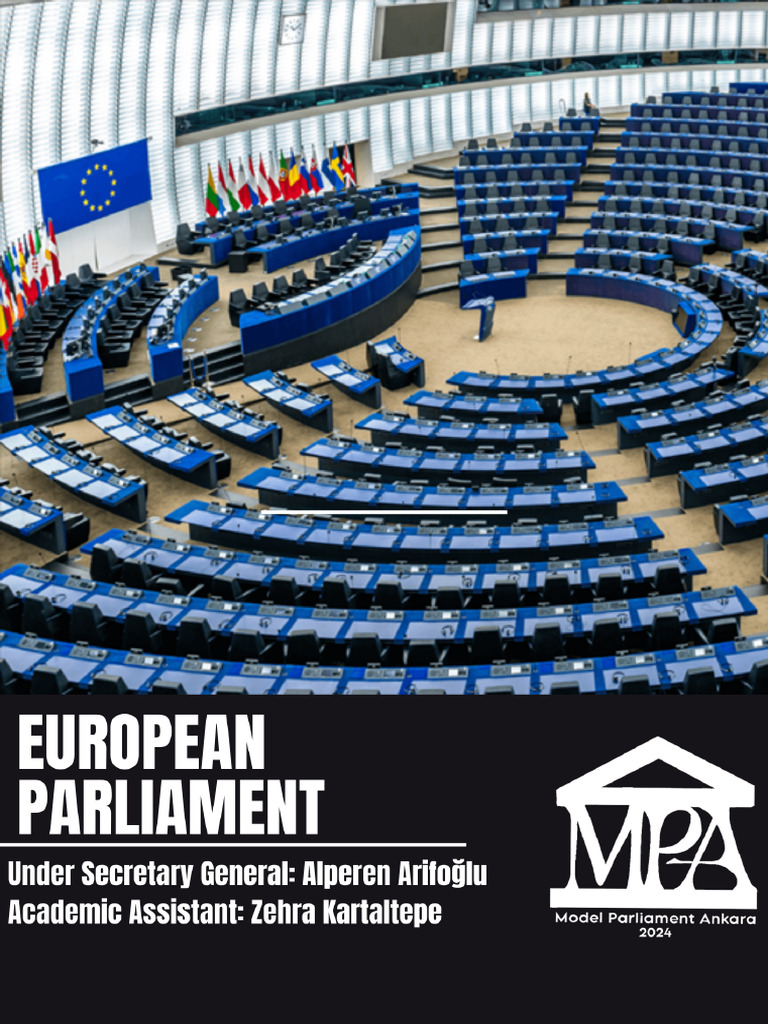 Political Groups in the European Parliament | PDF | European Parliament ...