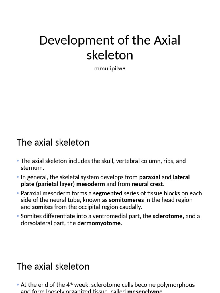 Axial Skeleton Development Overview | PDF | Vertebral Column | Vertebra