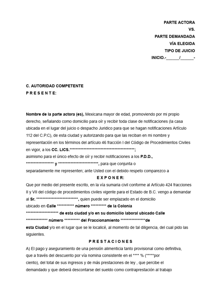 Machote Demanda de Alimentos Parte Actora | PDF | Demanda judicial ...