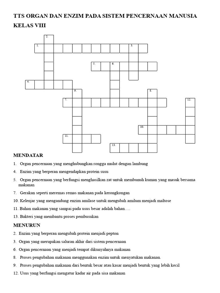 Teka-Teki Silang Sistem Pencernaan | PDF