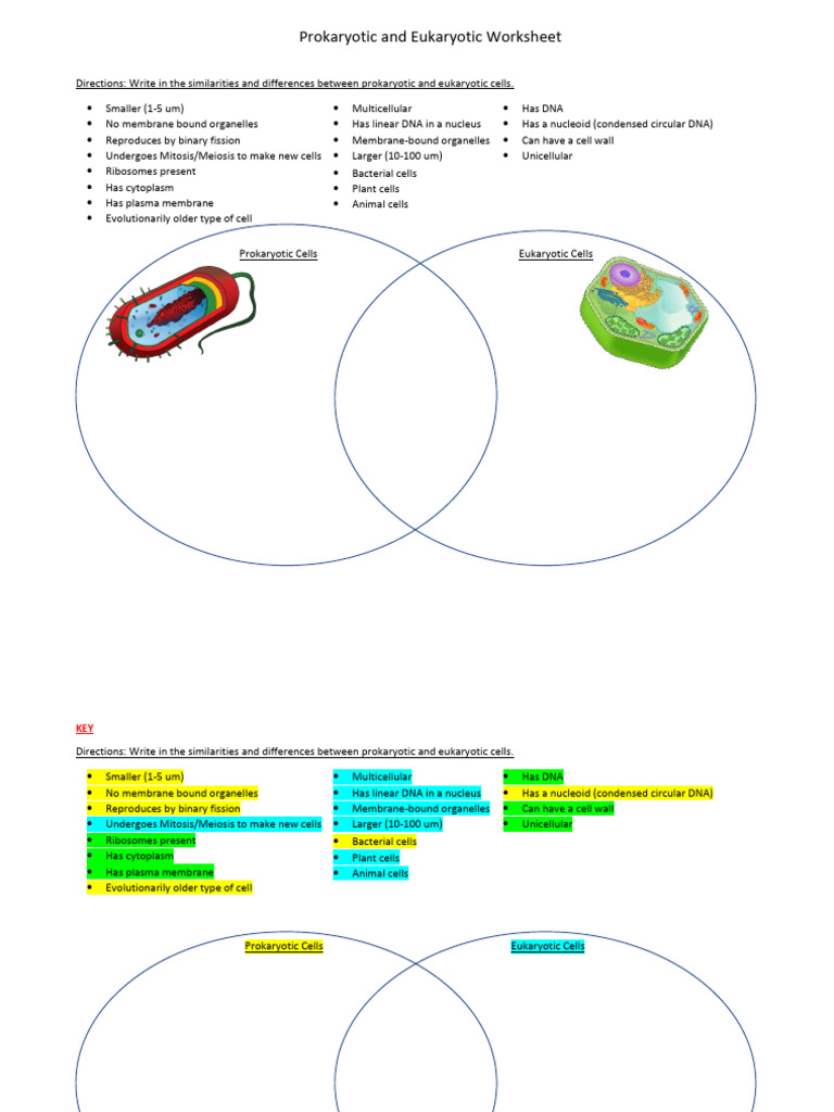 Prokaryotic Eukaryotic Worksheet PDF Cell (Biology) Organelle