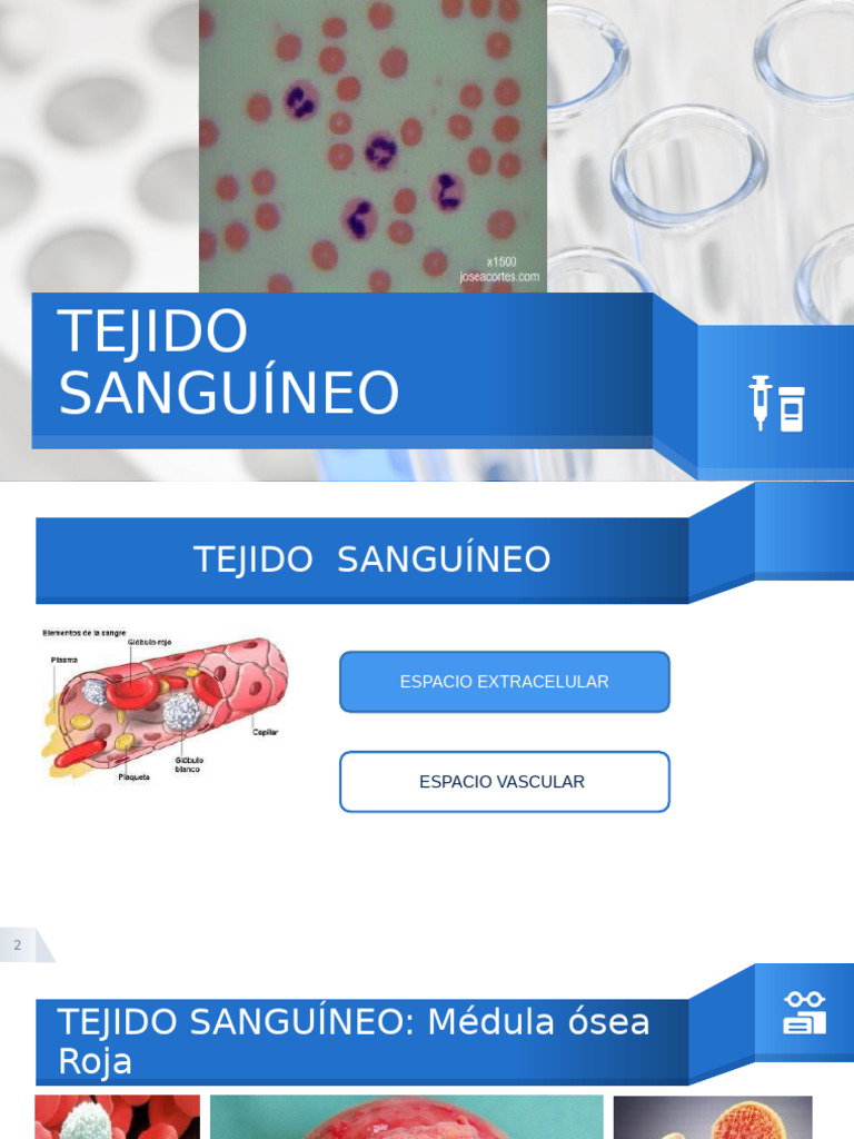 Alteraciones en Células Sanguíneas | PDF