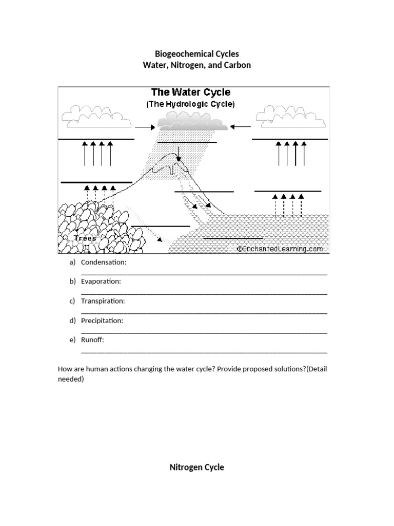 Biogeochemical_Cycles | PDF | Environmental Science | Physical Geography