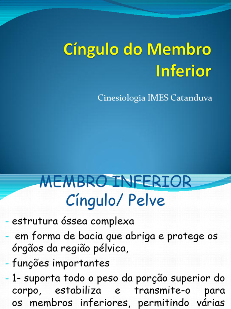 Estrutura e Funções da Pelve Humana | PDF | Pélvis | Quadril