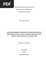 Estudos Ergonômicos - Riscos LER-DORT