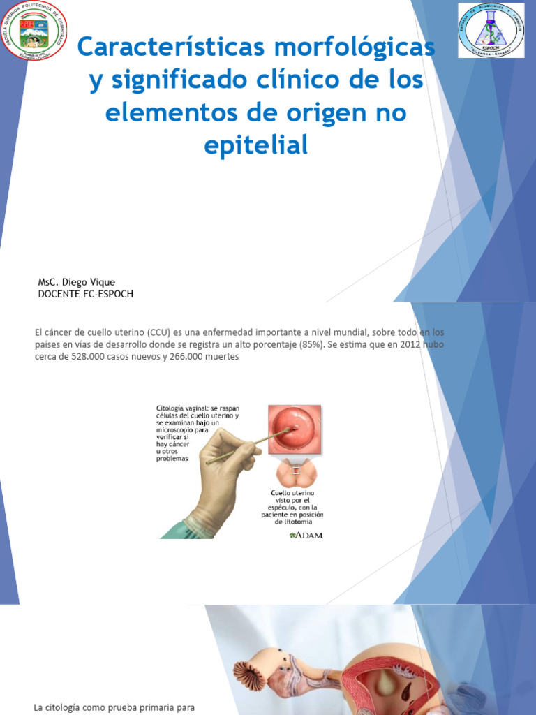 Características Morfológicas y Significado Clínico de Los Elementos | PDF