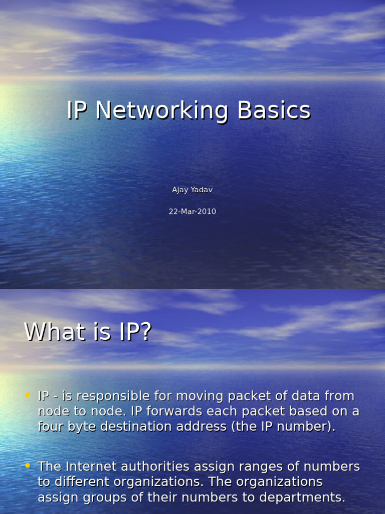 IP Networking Basics | PDF | Ip Address | Computer Network