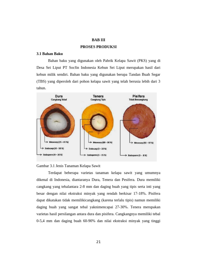 Bab Iii2 | PDF