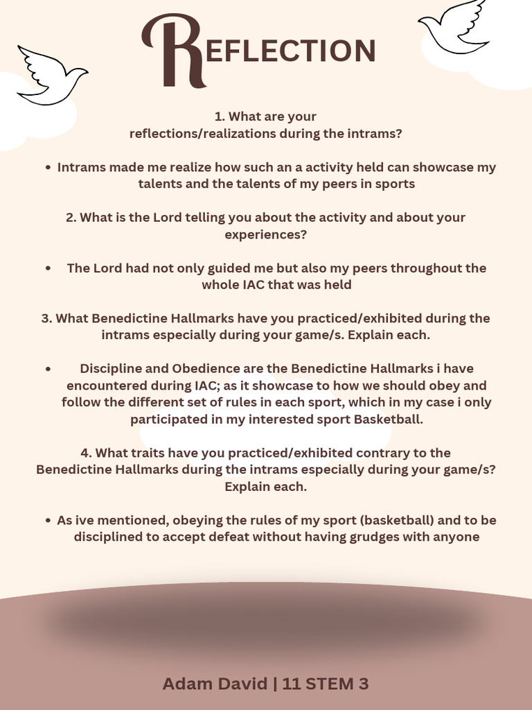 Reflection David | PDF