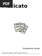 Pizzicato Professional 3.6 in English