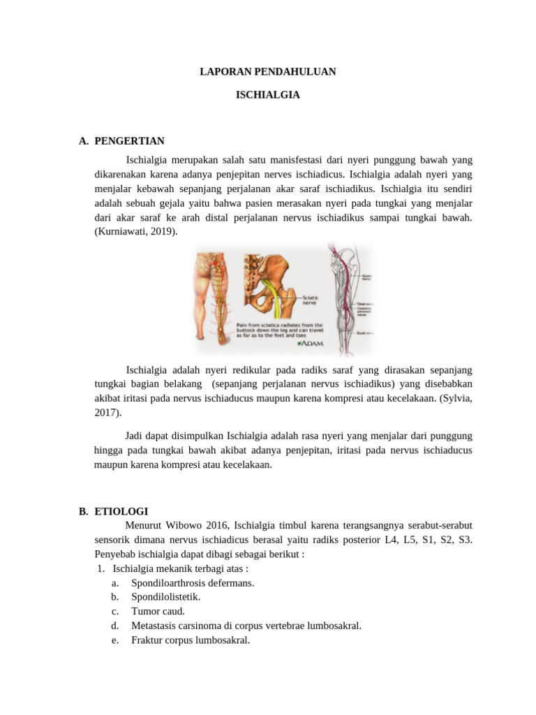 Pengertian dan Penyebab Ischialgia | PDF