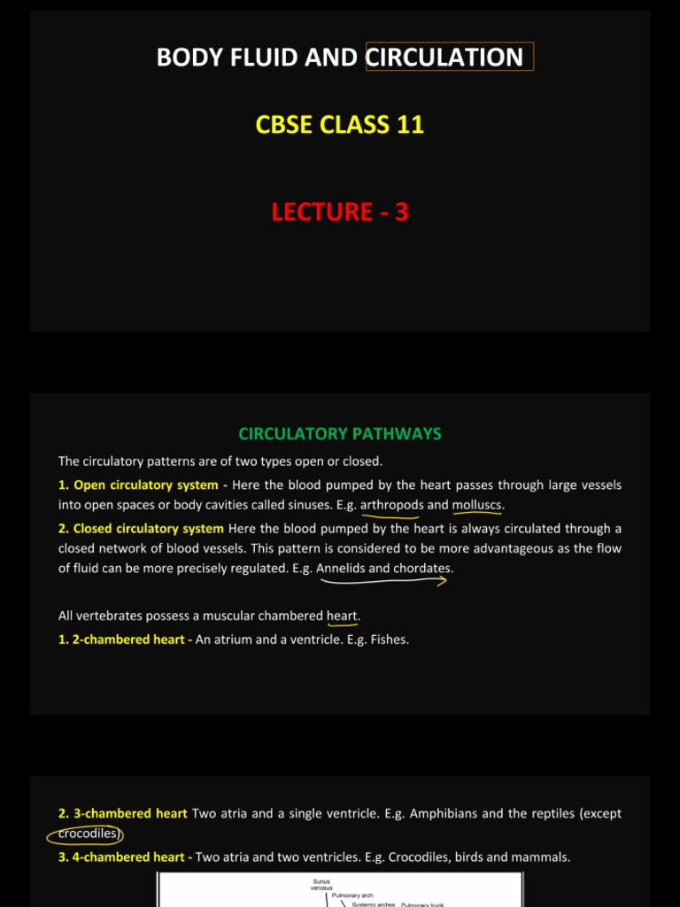 Circular 3 | PDF