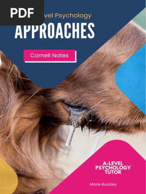 Approaches Cornell Notes