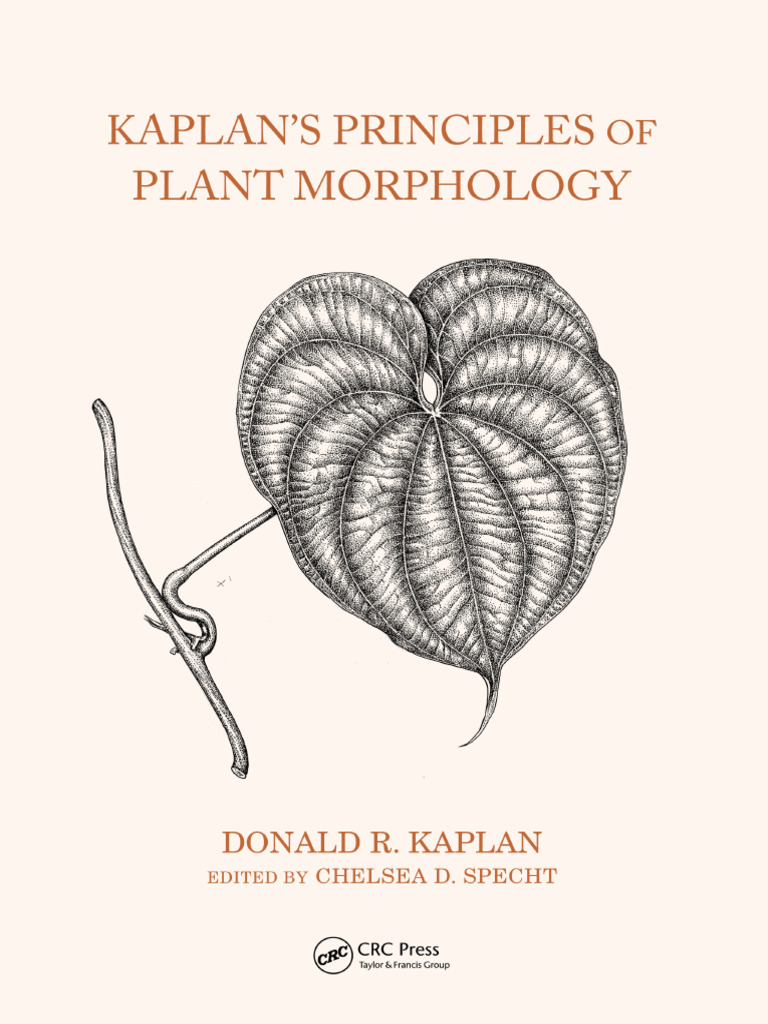 Principles of Plant Morphology Guide | PDF | Leaf | Plant Stem