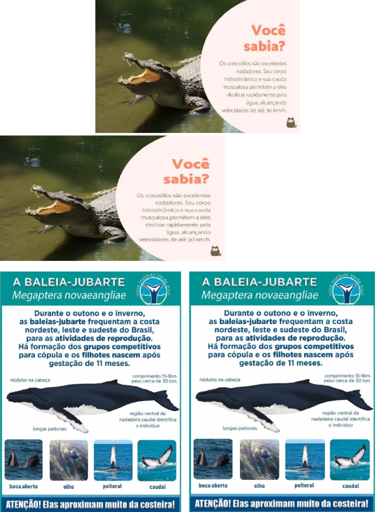 imagem texto informativo | PDF