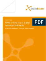 BrandMaker Focus Paper: Media Asset Management Part II