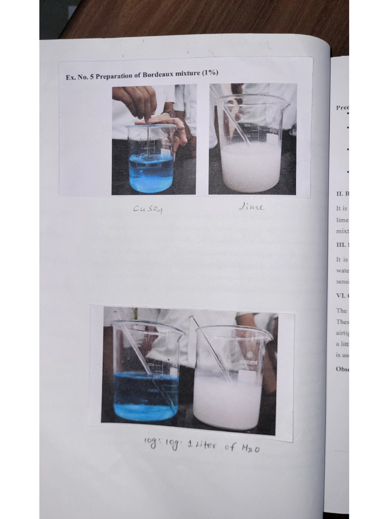 Ex No-5 | PDF
