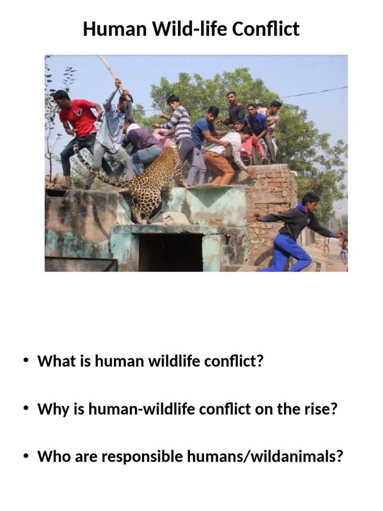 Evs Wildlife Pdf Conservation Biology Biodiversity