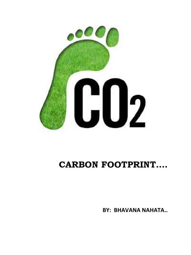 Understanding Carbon Footprint | PDF | Technology & Engineering