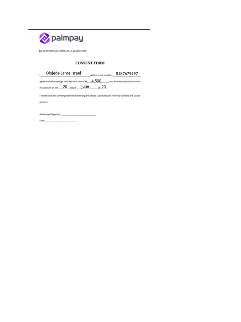 Palmpay | PDF