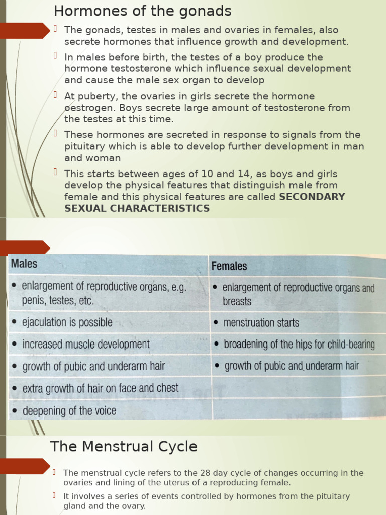 Gonadal Hormones and Menstrual Cycle | PDF | Menstrual Cycle | Ovary