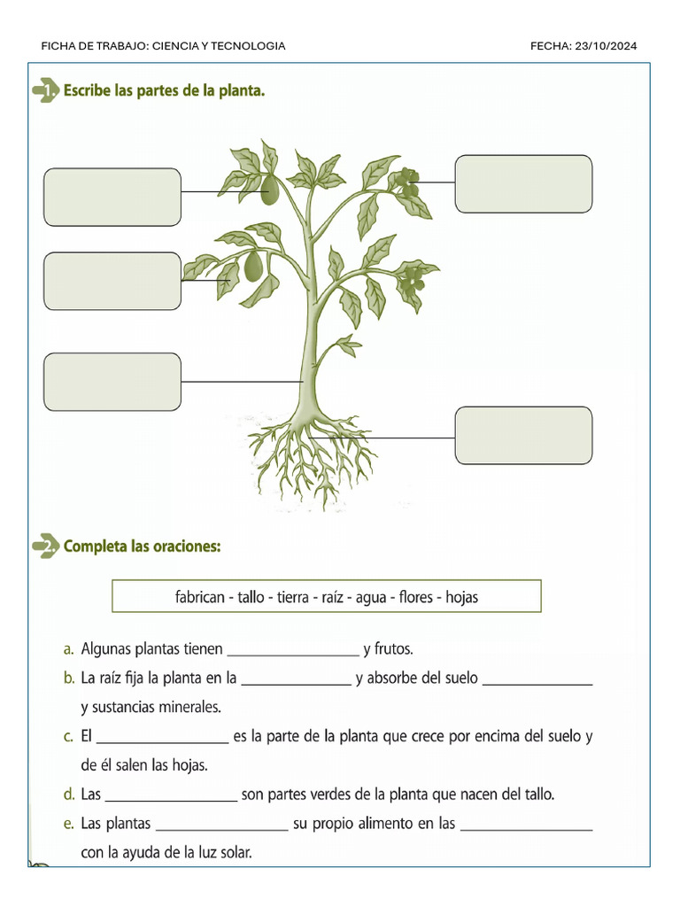 Ficha de Trabajo Ciencia y Tecnologìa | PDF | Ciencia y matemáticas ...