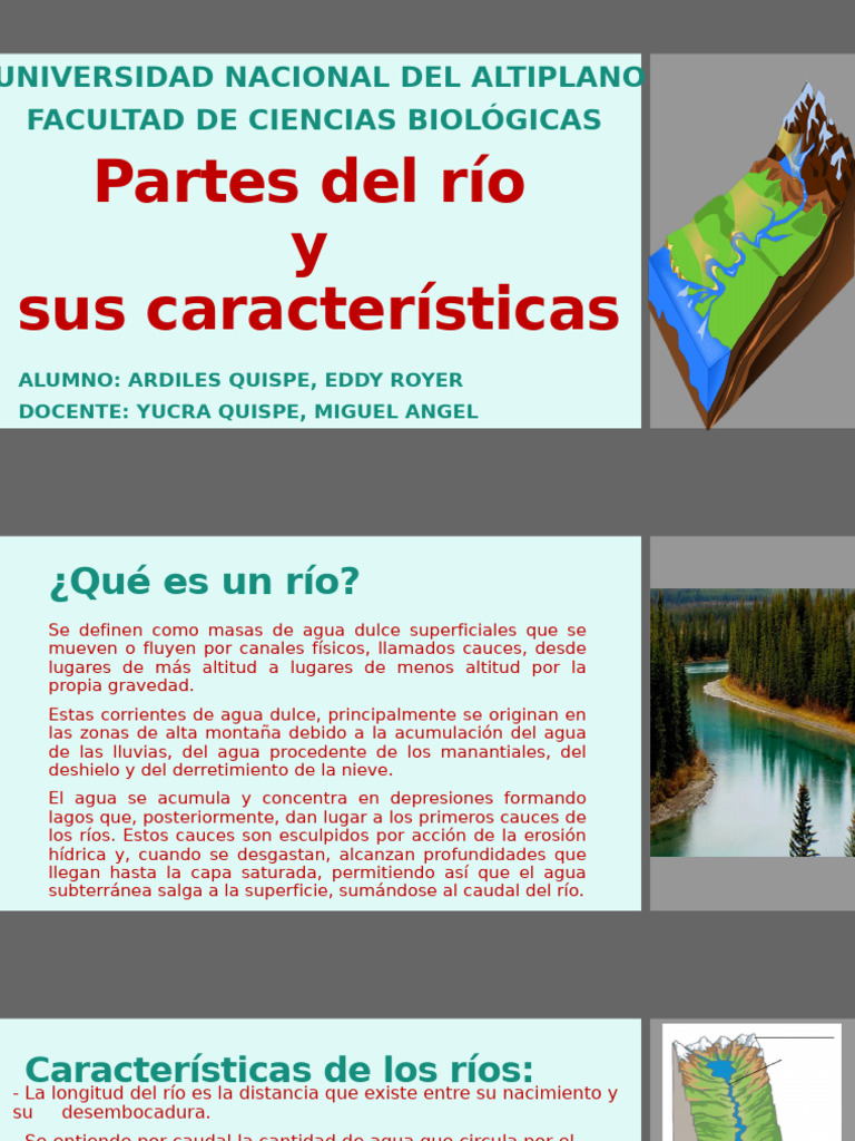 Partes Del Río OFICIAL | PDF | Río | Agua