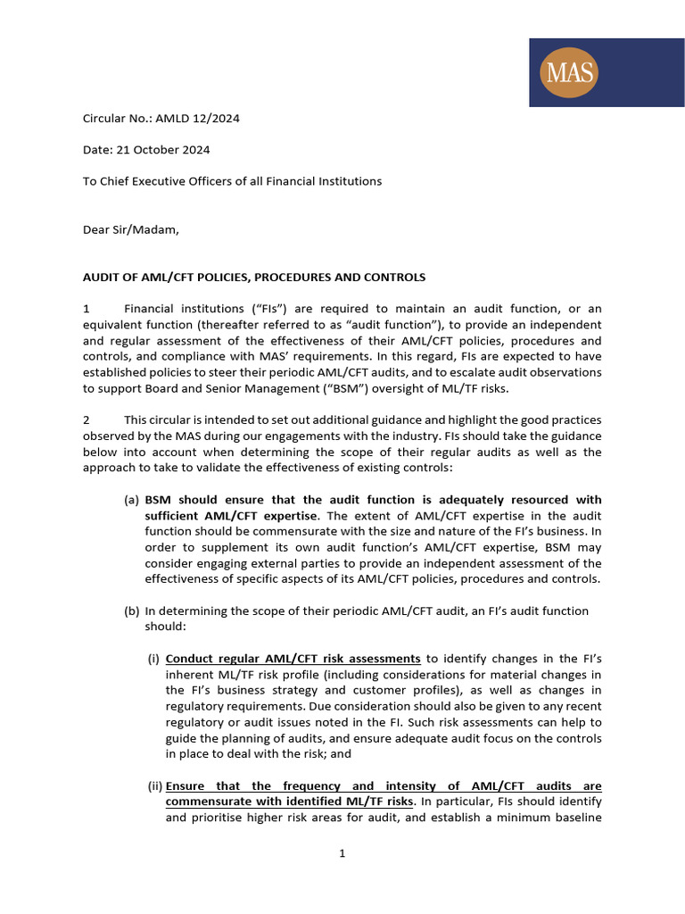 AML/CFT Audit Guidance for FIs | PDF | Audit | Risk