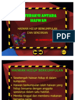 Interaksi Antara Haiwan