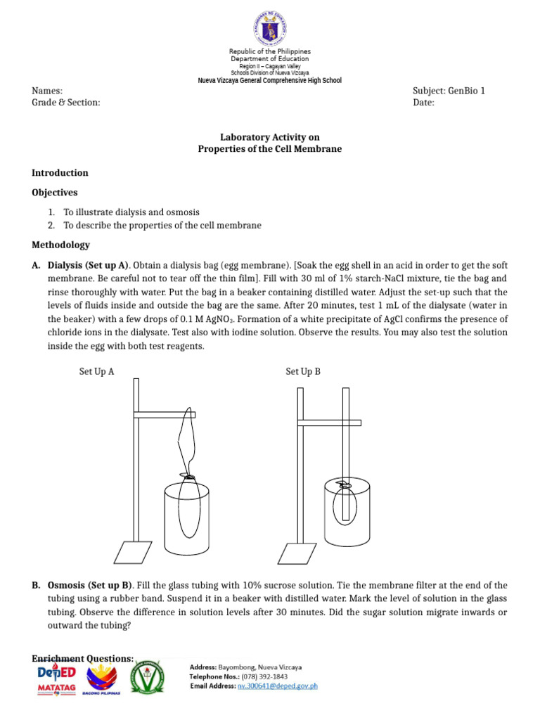 Cell Membrane Pdf Cell Membrane Chemistry