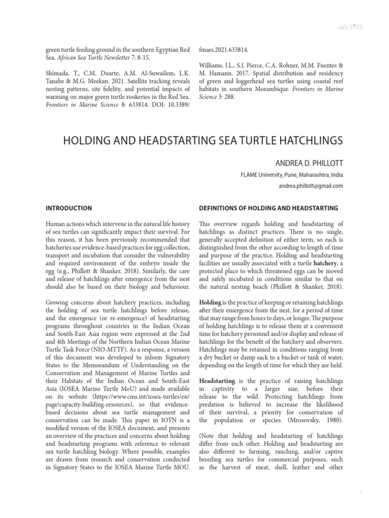 Best Practices for Sea Turtle Hatchlings | PDF | Sea Turtle | Turtle