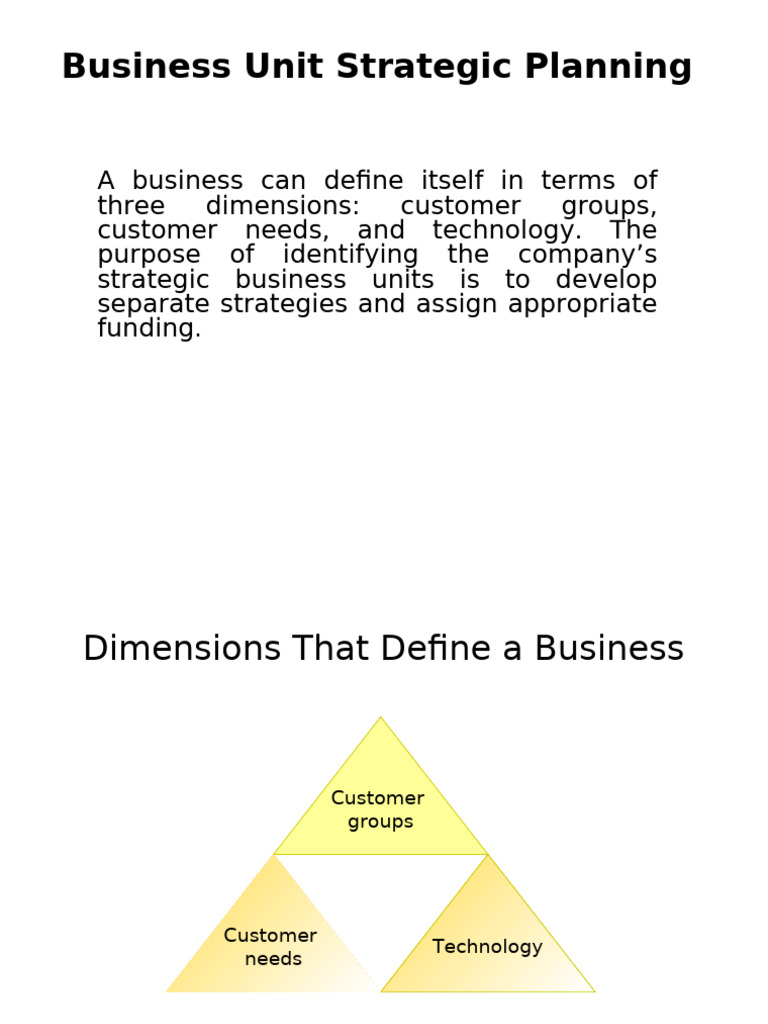 Business Unit Strategic Planning Guide | PDF | Marketing | Airlines