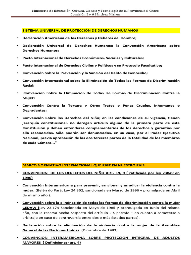Sistema de Proteccion de Derechos Humanos y A La Nin Ez | PDF | La ...