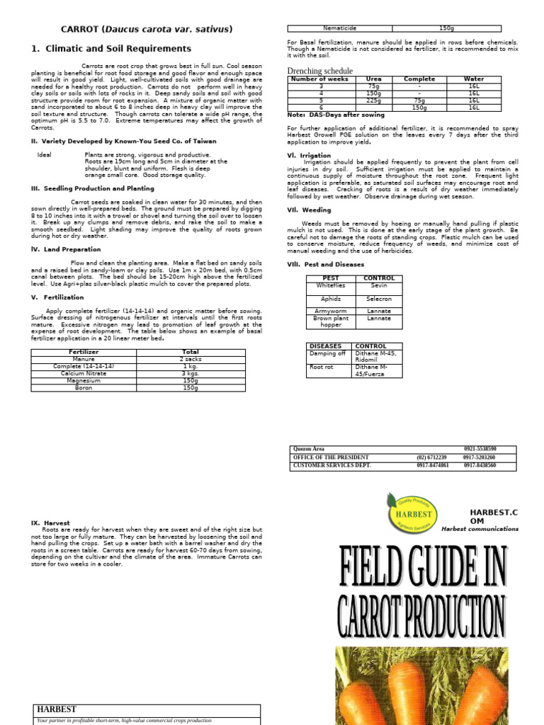 FIELD GUIDE IN CARROT PRODUCTION Revised Nov | PDF | Soil | Mulch