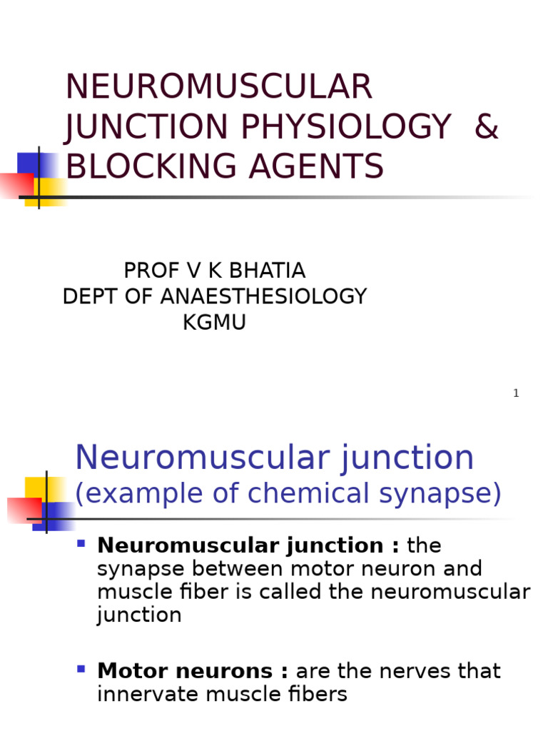 Motor End Plate in Neuromuscular Junction | PDF | Neuromuscular ...