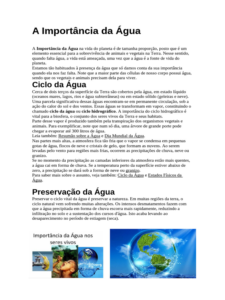 A Importância Da Água | PDF