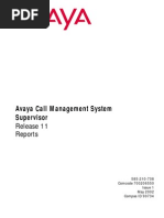 Avaya Call Managment System Supervisor