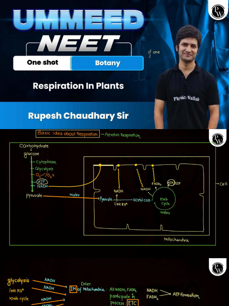 Respiration in Plants - Class Notes - Ummeed NEET 2024 | PDF