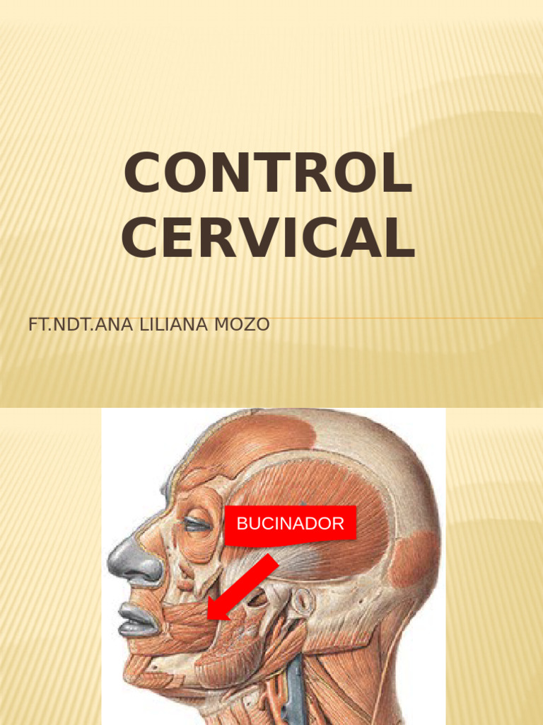Control Cervical y Disfunción Bucinador | PDF | Salud y bienestar ...