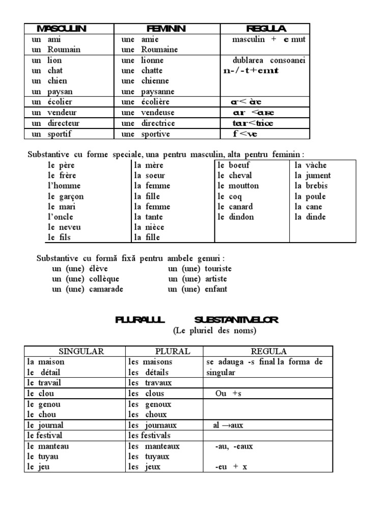 Substantifs et adjectifs en français | PDF | Genre grammatical | Unités ...