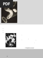 Fotogramas: Técnica de Man Ray | PDF | Arte abstrata
