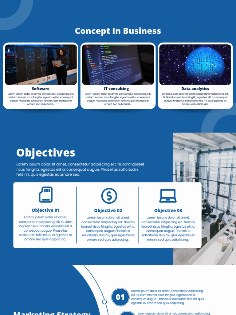 Business Concepts for IT Consulting | PDF